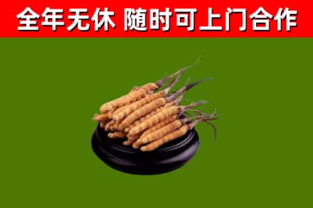贺兰县烟酒回收冬虫夏草.jpg